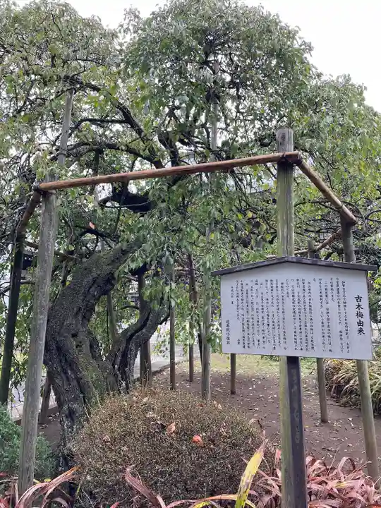 遠壽院(千葉県)