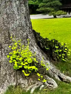 東寺（教王護国寺）(京都府)