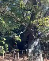 浜松八幡宮(静岡県)