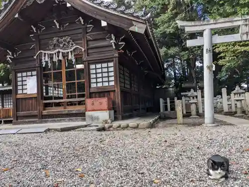 八幡社（柏井町）の動物
