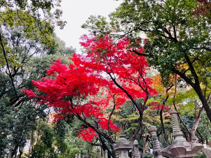 八事山 興正寺の自然