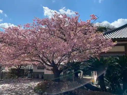 誕生寺(千葉県)