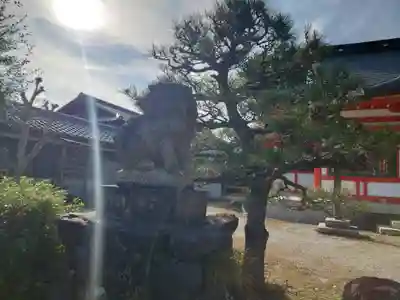 佐久奈度神社(滋賀県)