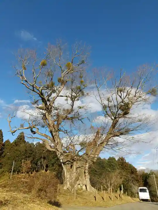 高尾神社の自然