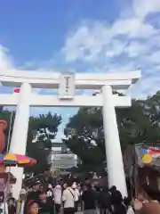 唐津神社の鳥居