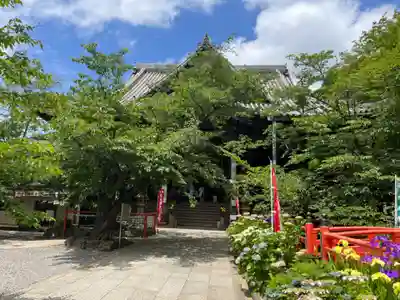 金剛宝寺（紀三井寺）(和歌山県)