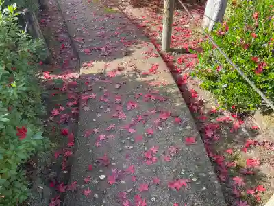 三室戸寺(京都府)