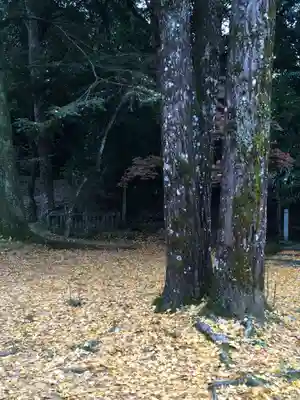 西寒多神社(大分県)