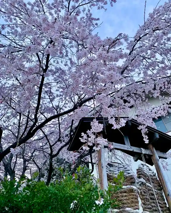 滑川神社 - 仕事と子どもの守り神の周辺