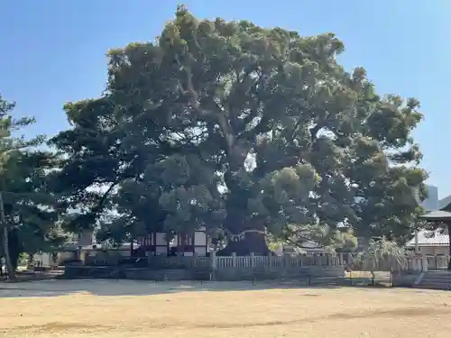 善通寺(香川県)