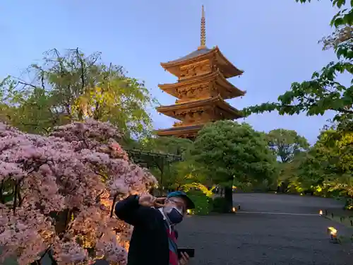 東寺（教王護国寺）のその他建物