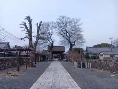 曼陀羅寺(愛知県)