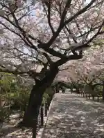 建長寺の自然