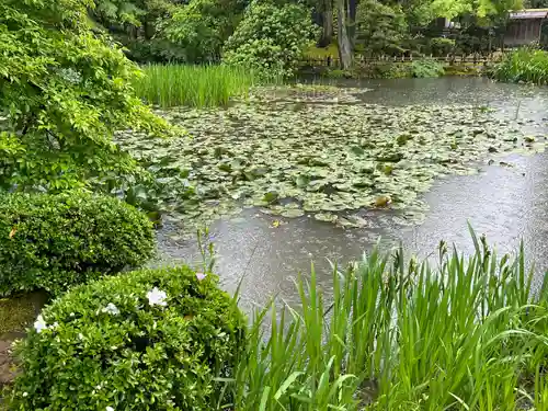 金澤神社(石川県)