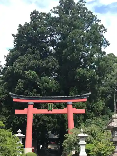 河口浅間神社の鳥居