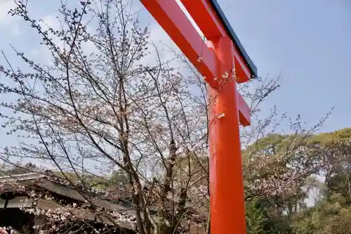 賀茂御祖神社（下鴨神社）の自然