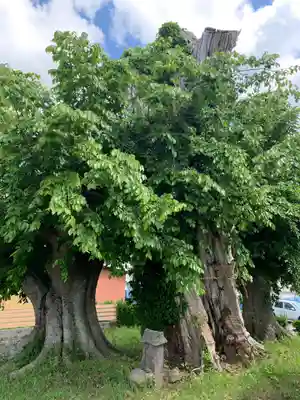 熊野神社(千葉県)