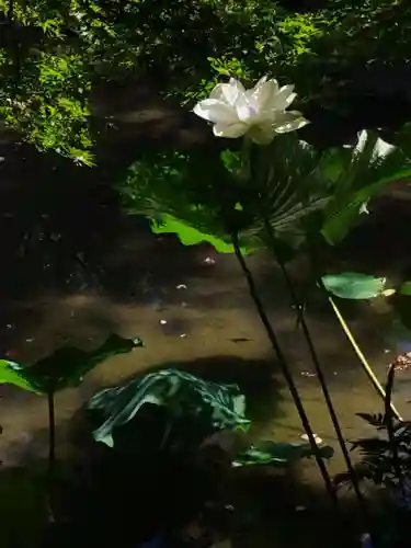 東寺（教王護国寺）(京都府)