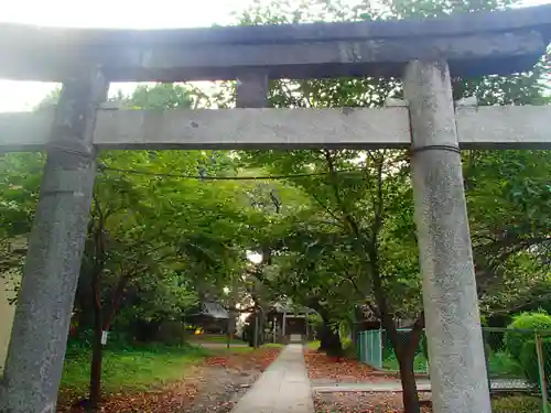 松山神社の鳥居