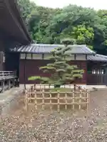 幡頭神社(愛知県)