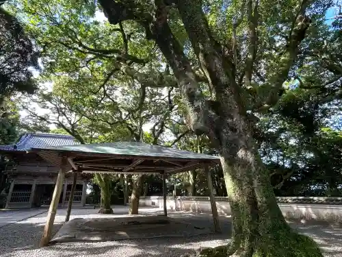 最御崎寺(高知県)