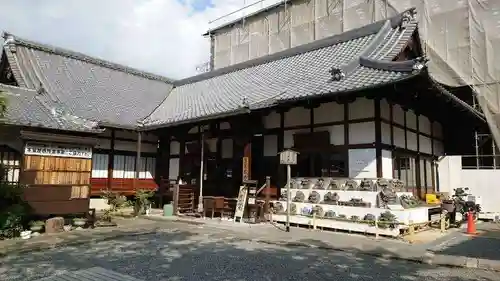 戒光寺（戒光律寺）(京都府)