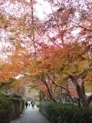 御髪神社(京都府)