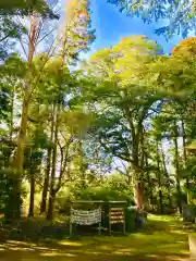 蛟蝄神社奥の宮の建物その他