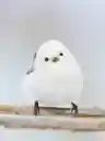 osamuさんのプロフィール画像