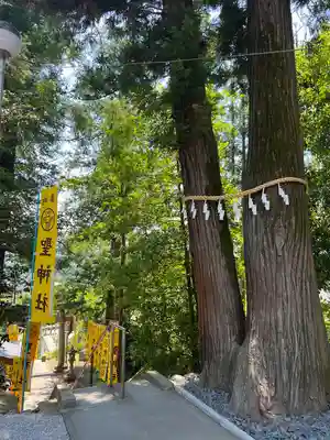 聖神社(埼玉県)