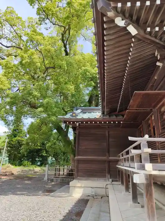 焼津神社(静岡県)