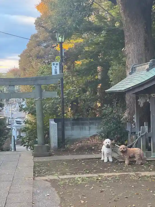 下田神社(神奈川県)