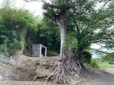八幡神社の自然