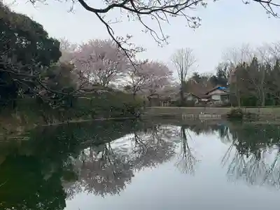 大神神社(奈良県)
