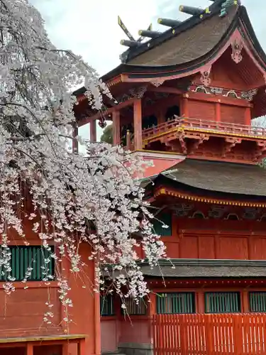 富士山本宮浅間大社の本殿・本堂