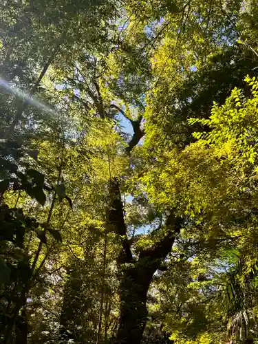 來宮神社(静岡県)