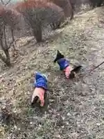 正一位 若草稲荷神社の動物