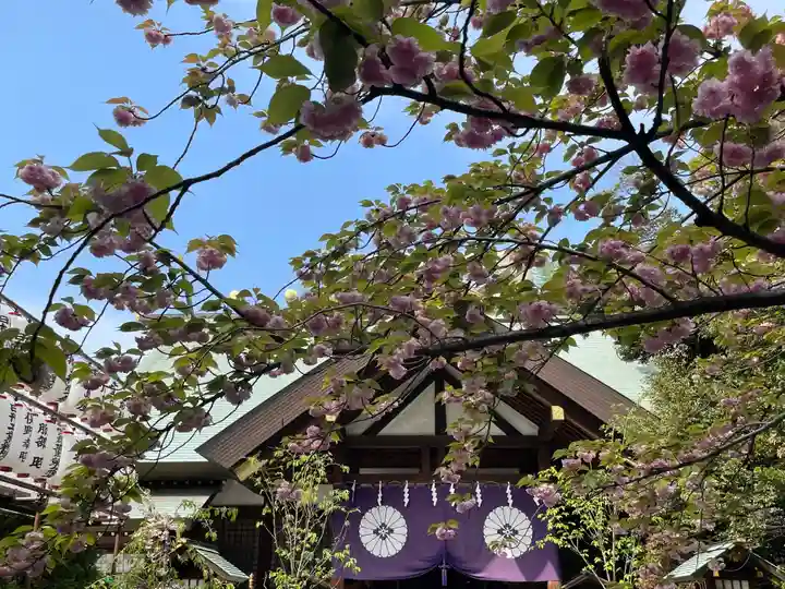 東京大神宮の本殿・本堂