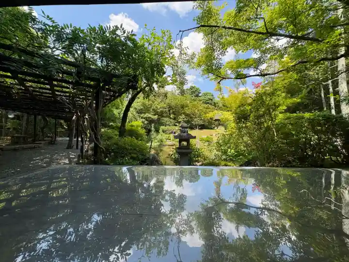 退蔵院(京都府)