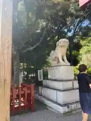 平塚八幡宮の狛犬