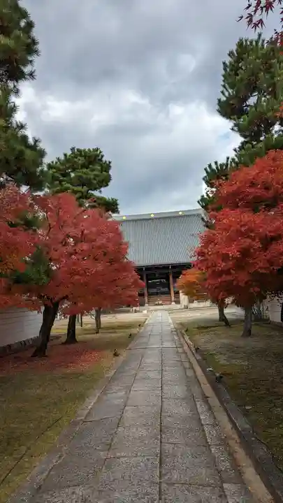妙顯寺(妙顕寺)(京都府)