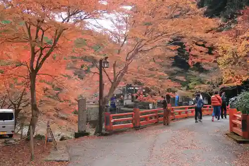 神護寺の景色