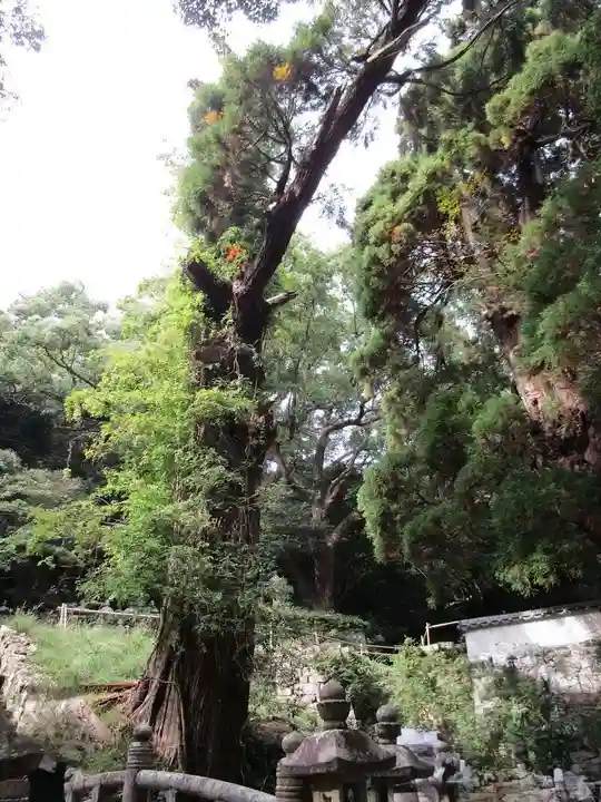 万松院(長崎県)