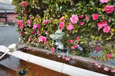 當麻寺(奈良県)