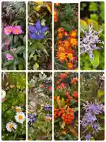 龍寳寺(龍宝寺)(神奈川県)