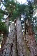 磐椅神社の自然