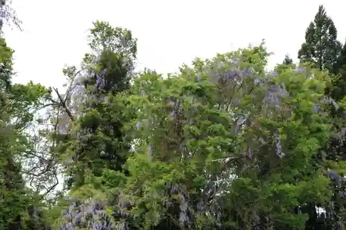 藤稲荷神社の景色