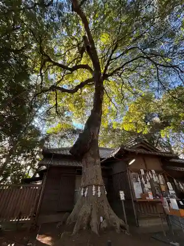 氷川女體神社(埼玉県)