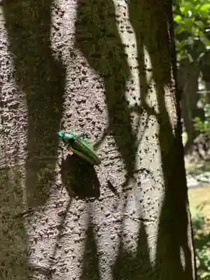 代々木八幡宮(東京都)