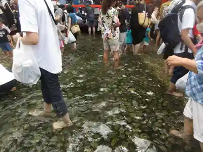賀茂御祖神社（下鴨神社）(京都府)